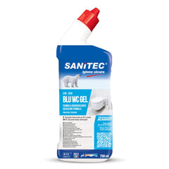 Гель  Sanitec BLU WC GEL для чистки санузлов на основе кислоты, 750 мл (12) цена и информация | Очистители | 220.lv