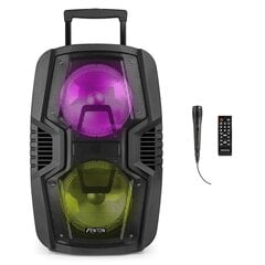 Fenton FT210LED cena un informācija | Skaļruņi | 220.lv