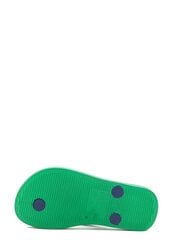 Шлепанцы для мальчика IPANEMA 0422497, зелёные/синие цена и информация | Nav norādīts Обувь для детей и младенцев | 220.lv