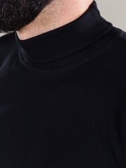 Bодолазка мужская Roni 23121, черная цена и информация | Мужские свитера | 220.lv