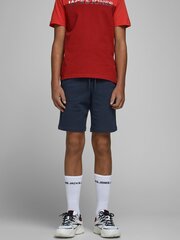 JACK & JONES zēnu šorti 12165944*02, tumesinine цена и информация | Шорты для мальчиков | 220.lv