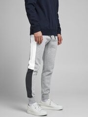 Спортивные мужские штаны Jack&Jones 12197199*01, светло-серые цена и информация | Мужская спортивная одежда | 220.lv