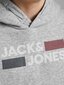 JACK & JONES JUNIOR bērnu sporta krekls 12152841*01, helehall цена и информация | Zēnu jakas, džemperi, žaketes, vestes | 220.lv