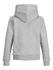 Детская толстовка JACK & JONES JUNIOR 12152841*01, светло-серая 5715100714164 цена и информация | Свитеры, жилетки, пиджаки для мальчиков | 220.lv