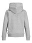 JACK & JONES JUNIOR bērnu sporta krekls 12152841*01, helehall цена и информация | Zēnu jakas, džemperi, žaketes, vestes | 220.lv