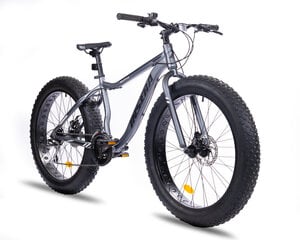 Kalnu velosipēds Fat Bike Insera Muffle 26'', melns/pelēks цена и информация | Велосипеды | 220.lv