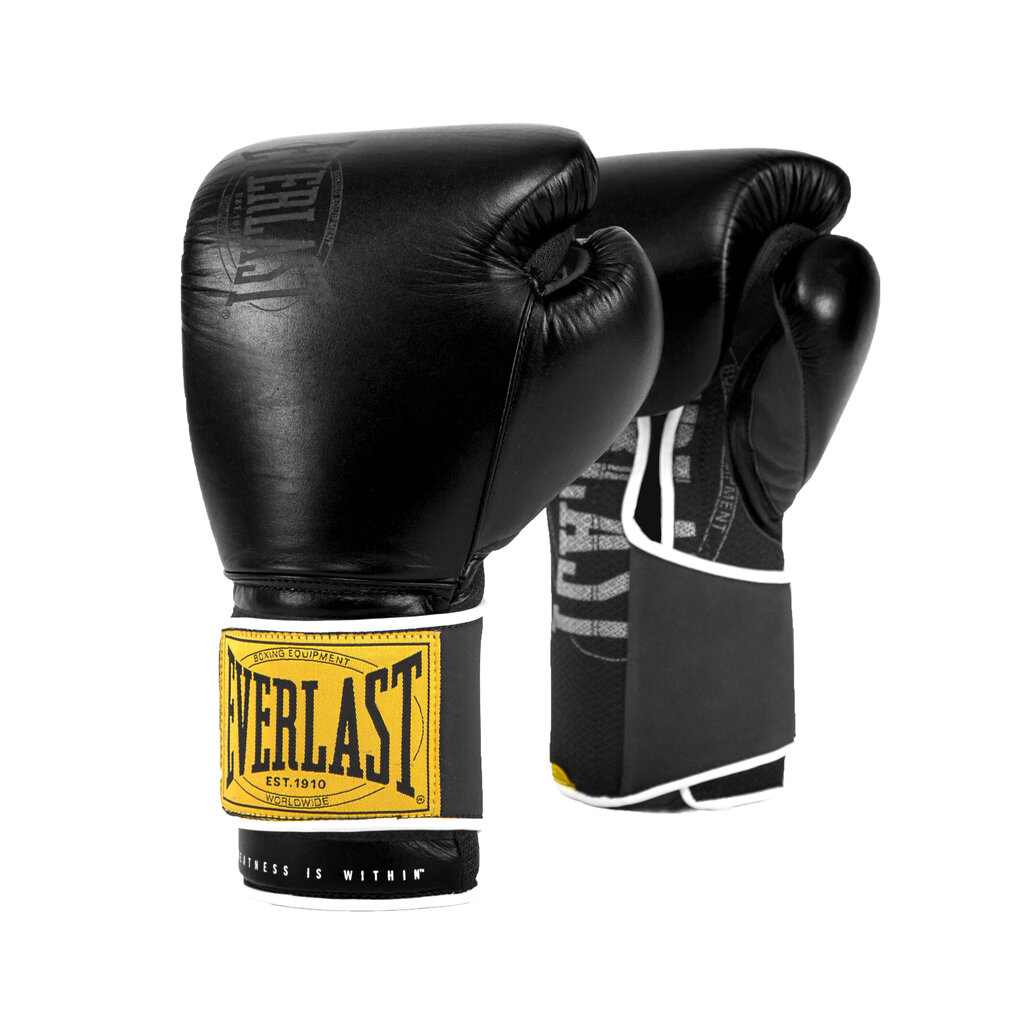 Ādas boksa treniņu cimdi Everlast 1910 Classic cena un informācija | Bokss un austrumu cīņas | 220.lv