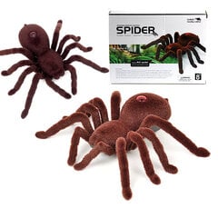 Zirnekļa Tarantula ar tālvadības pulti cena un informācija | Attīstošās rotaļlietas | 220.lv