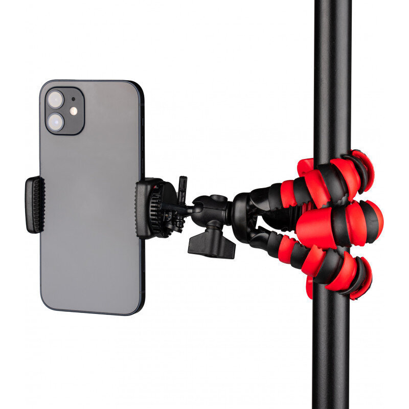 D-Fruit tripod Flexi S + phone adapter M cena un informācija | Auto turētāji | 220.lv