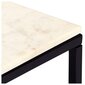 vidaXL kafijas galdiņš, 60x60x35 cm, akmens, balta marmora tekstūra цена и информация | Žurnālgaldiņi | 220.lv