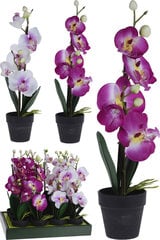 Mākslīgais augs Orhideja, 38 cm cena un informācija | Interjera priekšmeti | 220.lv