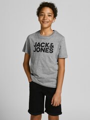 Футболка для мальчиков JACK & JONES 12152730*01, серая цена и информация | Рубашки для мальчиков | 220.lv