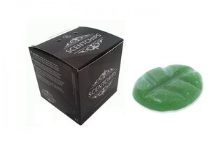 Aromātiskā vaska komplekts Scentchips, priedes aromāts 80 g cena un informācija | Sveces un svečturi | 220.lv