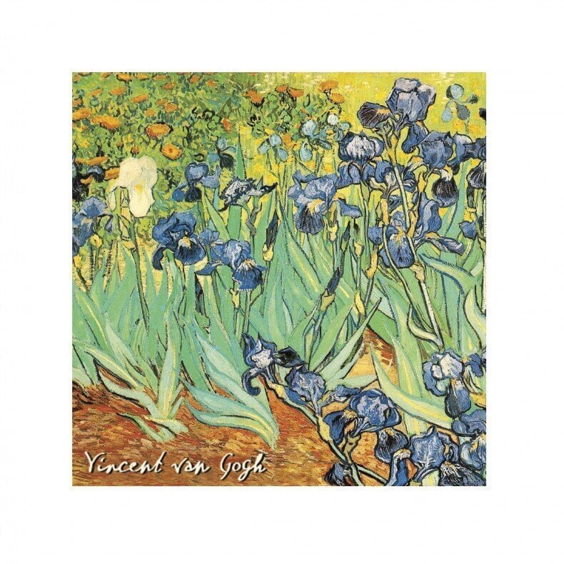 Aromātiskā paciņa Le Blanc, Vincent Van Gogh īrisa ziedu aromāts 8g цена и информация | Mājas aromāti | 220.lv