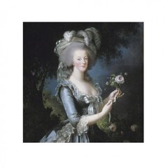 Aromātiskā paciņa Le Blanc, Marie-Antoinette rožu aromāts 8g cena un informācija | Mājas aromāti | 220.lv