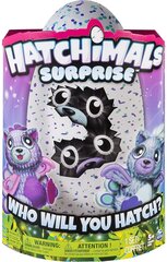 Синее/Фиолетовое яйцо с 2 домашними животными HATCHIMALS игрушка цена и информация | Hatchimals Духи, косметика | 220.lv