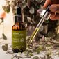 Sejas tīrīšanas eļļa Urban Veda Purifying, 30 ml cena un informācija | Serumi sejai, eļļas | 220.lv