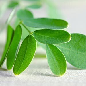 Šampūns matu apjomam Ayumi Moringa Neem, 250 ml cena un informācija | Šampūni | 220.lv