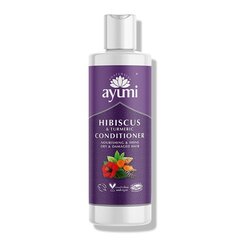 Barojošs matu kondicionieris Ayumi Hibiscus Turmeric, 250 ml cena un informācija | Matu kondicionieri, balzāmi | 220.lv