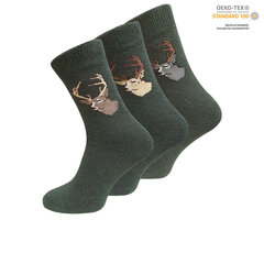 Охотничьи носки для мужчин VCA 2049, 3 пары цена и информация | Мужские носки | 220.lv