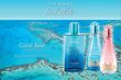 Tualetes ūdens Davidoff Cool Water Coral Reef edt 100 ml cena un informācija | Sieviešu smaržas | 220.lv