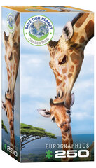 Puzle Eurographics, 8251-0294, Giraffes, 250 gab. cena un informācija | Puzles, 3D puzles | 220.lv