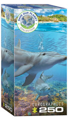 Puzle Eurographics, 8251-5560, Dolphins, 250 gab. цена и информация | Пазлы | 220.lv