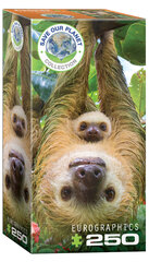 Puzle Eurographics, 8251-5556, Sloths, 250 gab. цена и информация | Пазлы | 220.lv