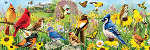 Puzle Eurographics, 6010-5338, Garden Birds, 1000 gab. cena un informācija | Puzles, 3D puzles | 220.lv