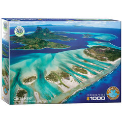 Пазл Eurographics, 6000-5538, Coral Reef, 1000 шт. цена и информация | Пазлы | 220.lv