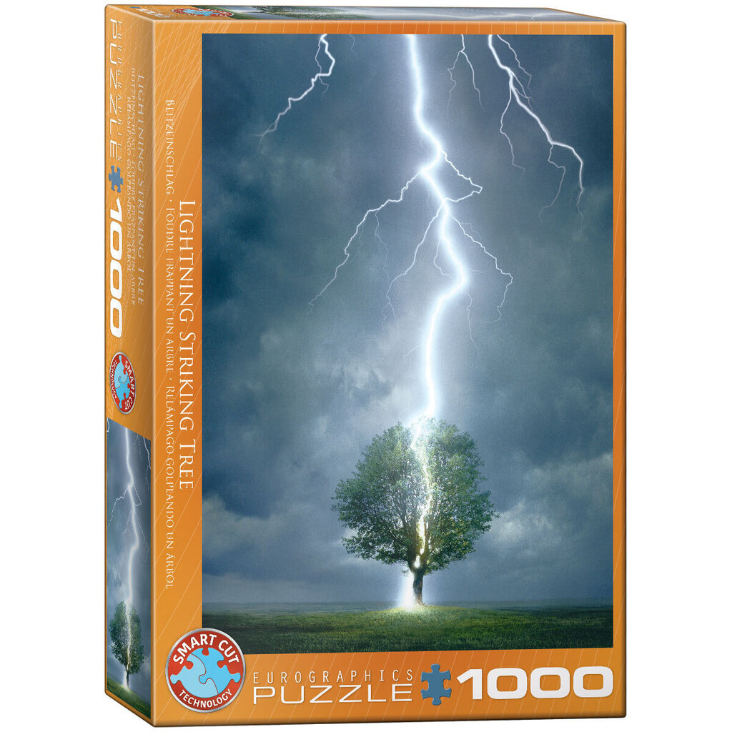 Puzle Eurographics, 6000-4570, Lighting Striking Tree, 1000 gab. cena un informācija | Puzles, 3D puzles | 220.lv