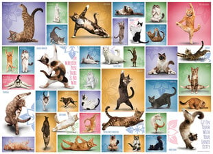 Пазл Eurographics, 6000-0953, Yoga Cats, 1000 шт. цена и информация | Пазлы | 220.lv