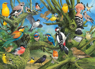 Puzle Eurographics, 6000-0967, Garden Birds, 1000 gab. cena un informācija | Puzles, 3D puzles | 220.lv
