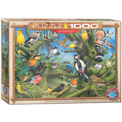 Puzle Eurographics, 6000-0967, Garden Birds, 1000 gab. cena un informācija | Puzles, 3D puzles | 220.lv