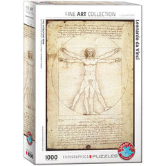 Puzle Eurographics, 6000-5098, Vitruvius Man, 1000 gab. cena un informācija | Puzles, 3D puzles | 220.lv