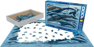 Puzle Eurographics, 6000-0082, Whales and Dolphins, 1000 gab. cena un informācija | Puzles, 3D puzles | 220.lv