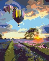 Glezna pēc numuriem "Gaisīgie baloni" 40x50 G cena un informācija | Gleznas pēc numuriem | 220.lv