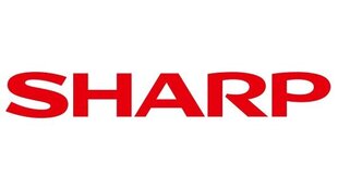 Sharp Toner (MX45GTBA) цена и информация | Картриджи для струйных принтеров | 220.lv