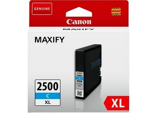 Canon Ink PGI-2500 XL Cyan (9265B001) цена и информация | Картриджи для струйных принтеров | 220.lv