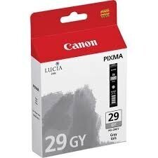 Canon Ink PGI-29 Grey (4871B001) цена и информация | Картриджи для струйных принтеров | 220.lv