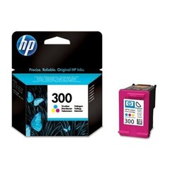 HP Ink No.300 Color (CC643EE) cena un informācija | Tintes kārtridži | 220.lv