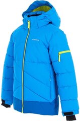 Куртка для мальчиков Icepeak Loudon 300 г Jr 50045-6*350, бирюзовая цена и информация | Куртки для мальчиков | 220.lv