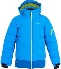 Куртка для мальчиков Icepeak Loudon 300 г Jr 50045-6*350, бирюзовая цена и информация | Куртки для мальчиков | 220.lv