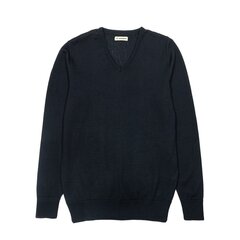 Džemperis vīriešiem, tumši zils, V-veida kakla izgriezums, VNS1001060 cena un informācija | Vīriešu džemperi | 220.lv