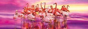 Пазл Clementoni "Танец Фламинго", 1000 деталей. цена и информация | Пазлы | 220.lv