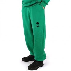 Мужские спортивные штаны Tailored Pants, зеленые цена и информация | Мужская спортивная одежда | 220.lv