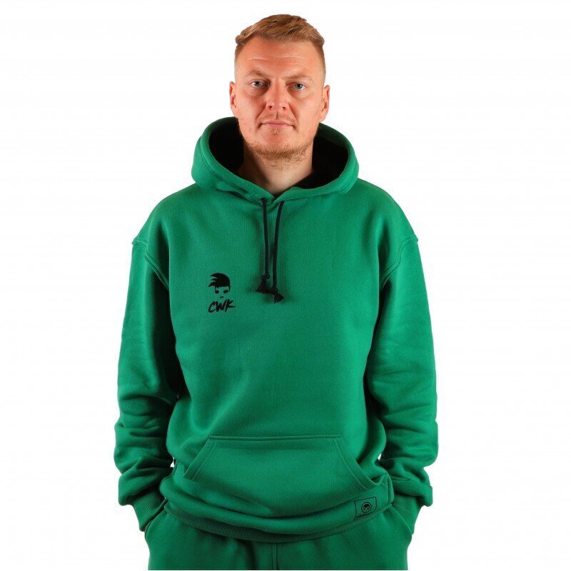 Džemperis vīriešiem Hoodie Green, zaļš cena un informācija | Vīriešu jakas | 220.lv