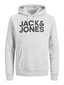 Jack&Jones vīriešu džemperis 12152840*01, pelēks цена и информация | Vīriešu jakas | 220.lv