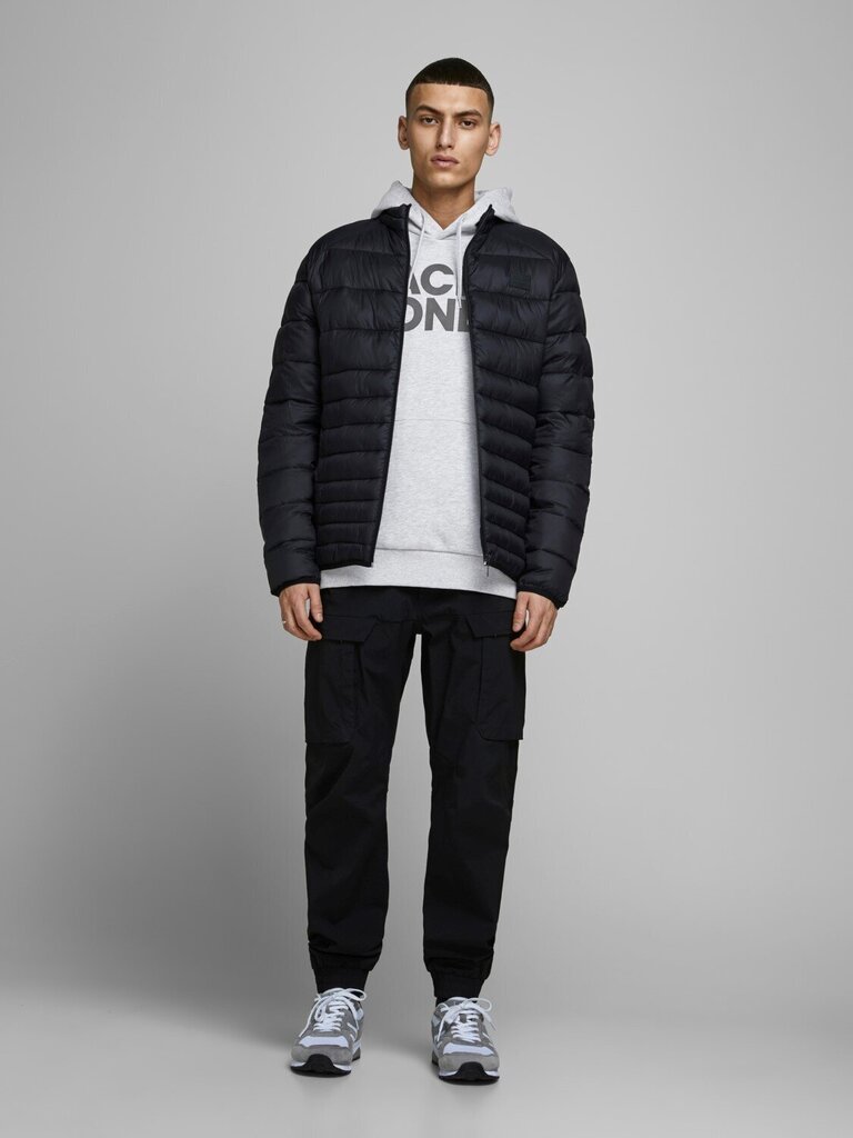 Jack&Jones vīriešu džemperis 12152840*01, pelēks цена и информация | Vīriešu jakas | 220.lv