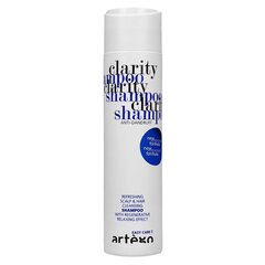 Artego Easy Care T Clarity šampūns matiem ar blaugznām (250ml) цена и информация | Шампуни | 220.lv